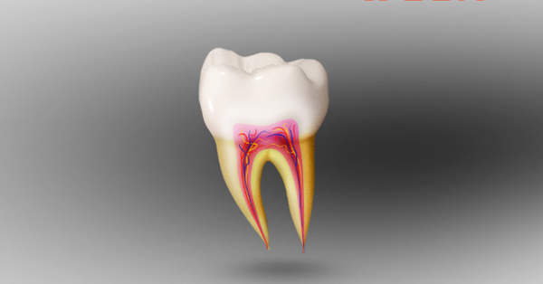 7 Symptom of Root Canal Treatment 7 Symptom of Root Canal Treatment