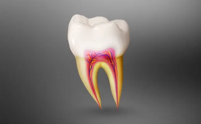 Root Canal Treatment in Rancho Mirage, Palm Desert, Palm Spring, Coachella Valley, Cathedral City, La Quinta, Desert Hot Springs, Yucca Valley, Indian Wells